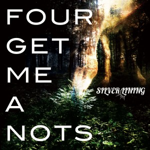 Four Get Me A Nots - Silver Lining (2011)