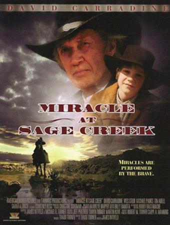 Чудо в Ручье мудреца / Miracle at Sage Creek (2005 / DVDRip)