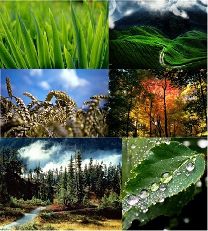 SuperPack Beautiful Nature HD Wallpapers Part 61