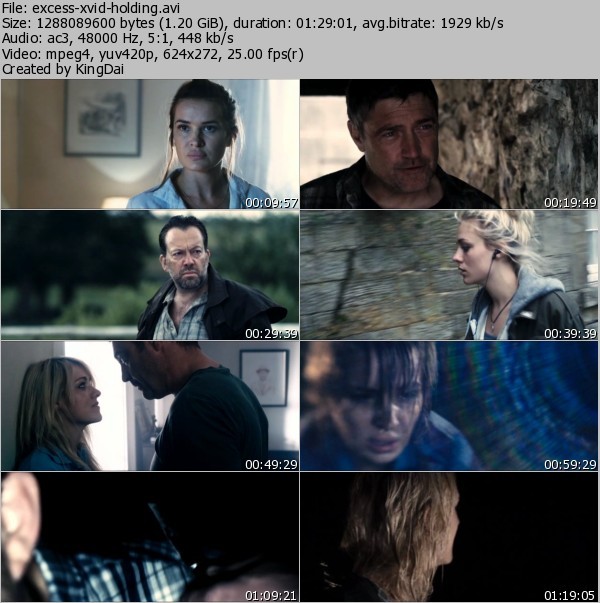 The Holding (2011) DVDRip XviD AC3 5.1-eXceSs