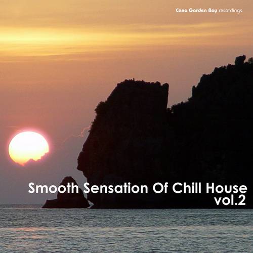 Smooth Sensation Of Chill House Vol.2 (2011)