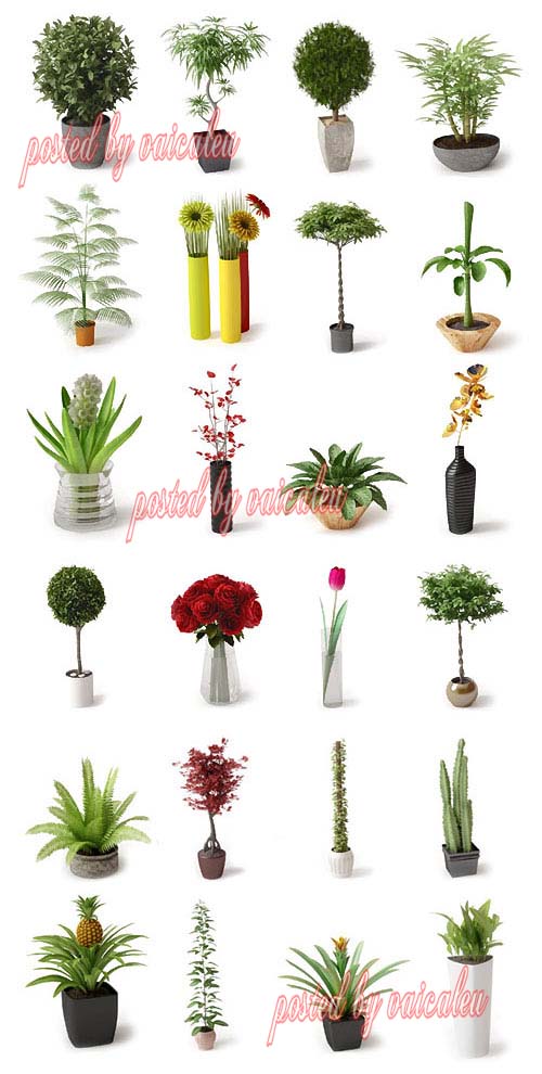 Archmodels Vol 66 - House Plants & Flowers