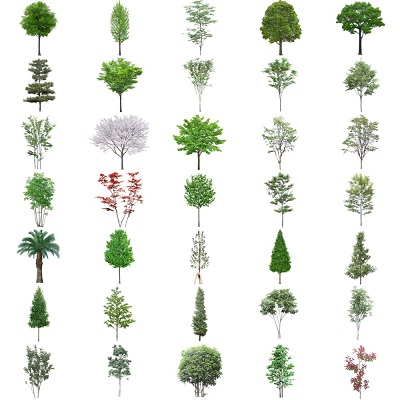 3D model Tree collection  pack