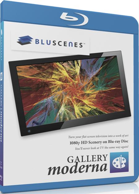BluScenes: Gallery Moderna (2010) Blu-ray 1080p AVC DTS - HD 7.1