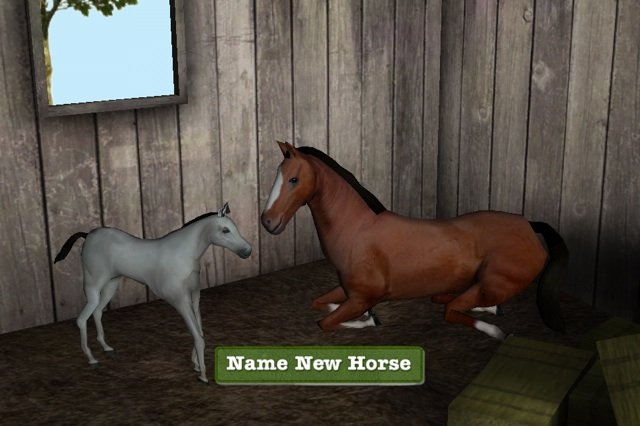 Игру На Телефон Лошадь