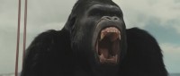 Восстание планеты обезьян / Rise of the Planet of the Apes (2011) HDRip-AVC