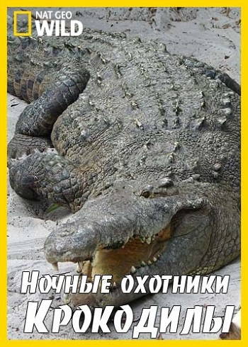 Ночные охотники. Крокодилы / National Geographic. Nightstalkers. Crocodiles