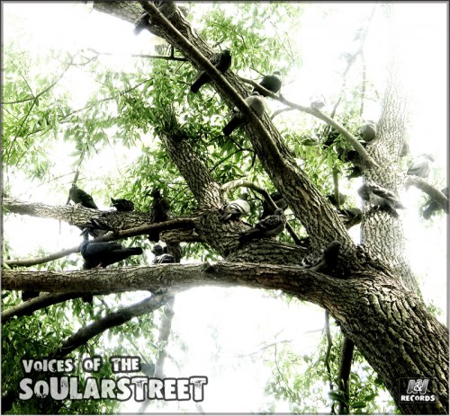 (Alternative, Reggae) SoularStreet - Voices of the Soular Street - 2011, MP3, 320 kbps