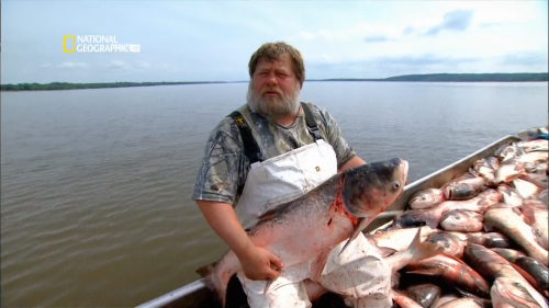  .  .  / Hooked. Gone Monster Fishing. Invaders (Matt Christensen) [2010 .,  , , HDTV 1080i]