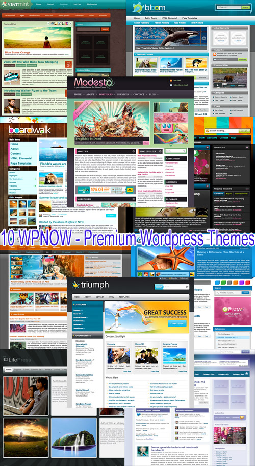 [Template]10 WPNOW - Premium Wordpress Themes 