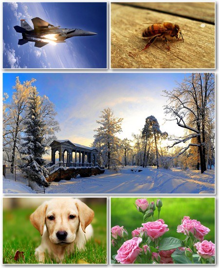 Best HD Wallpapers Pack №470
