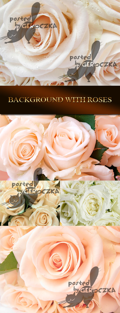 Background with roses