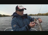 Рыбачьте с нами. Февраль 2012 (видеожурнал, выпуск 30) (2012 / DVDRip)