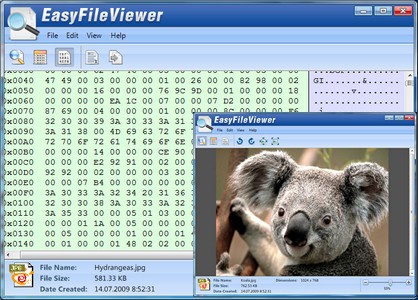 ParetoLogic EasyFileViewer v1.0