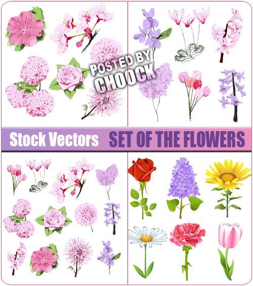 Set of the flowers - Stock Vector