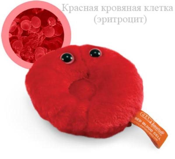 http://i31.fastpic.ru/big/2012/0327/78/6eb2b40a774beba02d02fe09e1e85f78.jpg