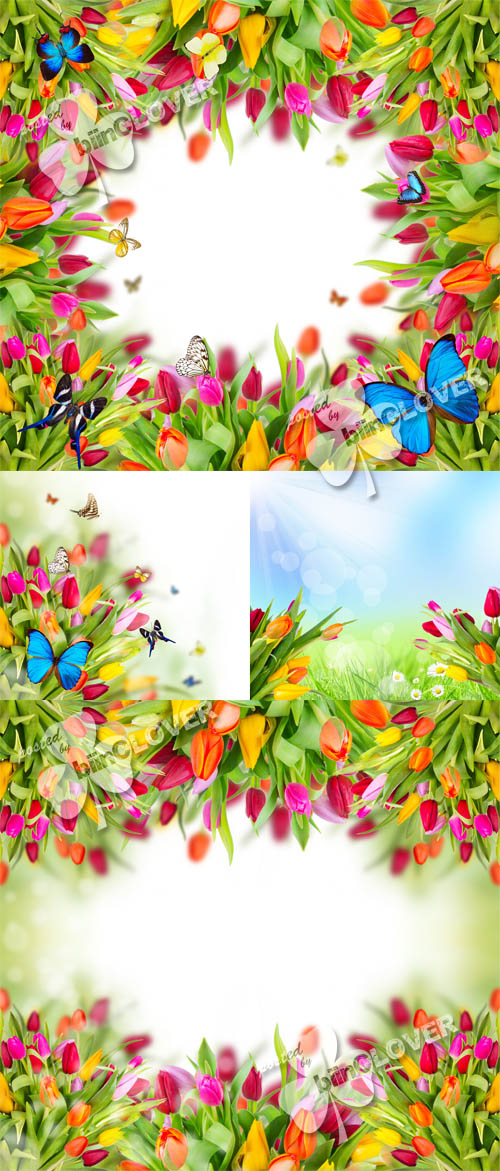 Spring flowers with butterflies 0120