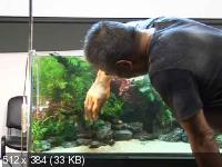 Мастер-класс Такаси Амано по оформлению Природного аквариума (2011) DVDRip