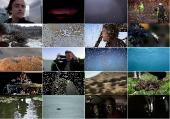   (3   3-) / Richard Hammond's Invisible Worlds (2010) BDRip 720p