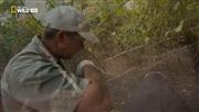  .  .  / Dangerous Encounters. To Catch a Hippo (2011) HDTVRip