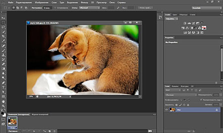 Adobe Photoshop CS6 Portable PainteR (13.0 Pre Release)