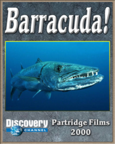 Discovery.  / Discovery. Barracuda! (2000) SATRip