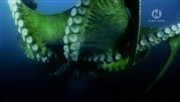     / Aliens of the Deep Sea (2010) SATRip